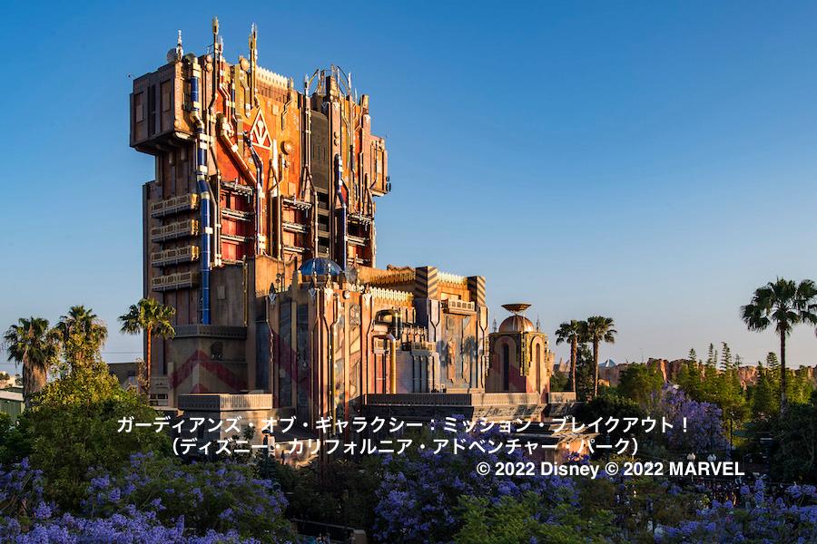 東京ディズニーランド 東京ディズニーシー チケット 卒業旅行 GW 直売